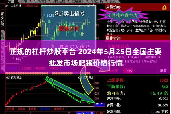 正规的杠杆炒股平台 2024年5月25日全国主要批发市场肥猪价格行情