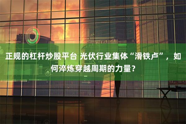正规的杠杆炒股平台 光伏行业集体“滑铁卢”，如何淬炼穿越周期的力量？