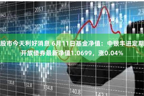 股市今天利好消息 6月11日基金净值：中银丰进定期开放债券最新净值1.0699，涨0.04%