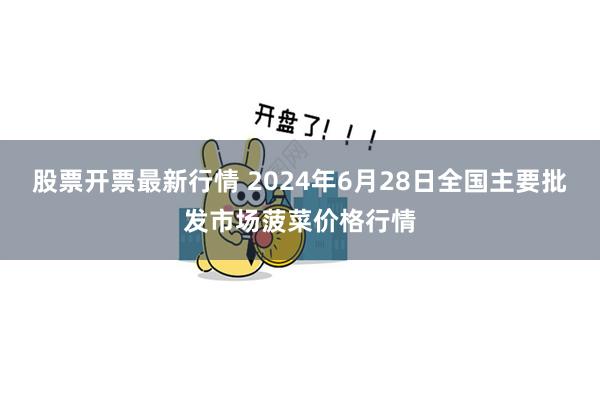 股票开票最新行情 2024年6月28日全国主要批发市场菠菜价格行情