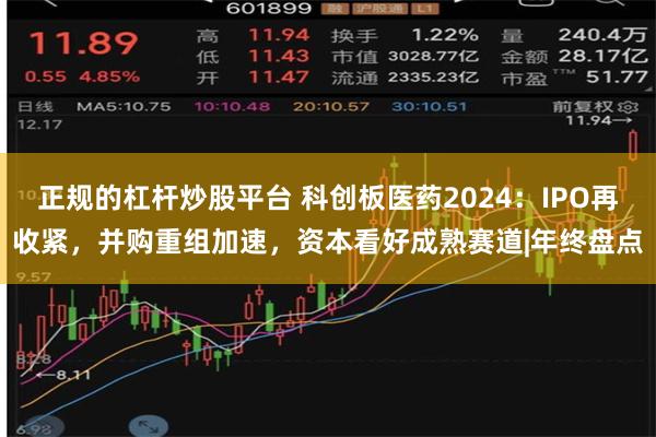 正规的杠杆炒股平台 科创板医药2024：IPO再收紧，并购重组加速，资本看好成熟赛道|年终盘点