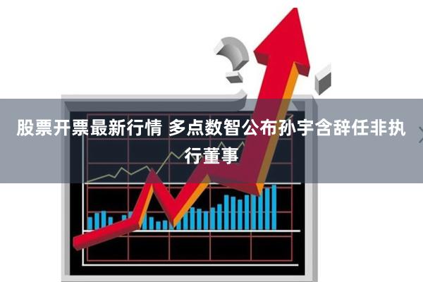 股票开票最新行情 多点数智公布孙宇含辞任非执行董事