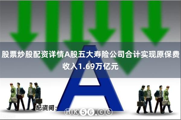 股票炒股配资详情A股五大寿险公司合计实现原保费收入1.69万亿元