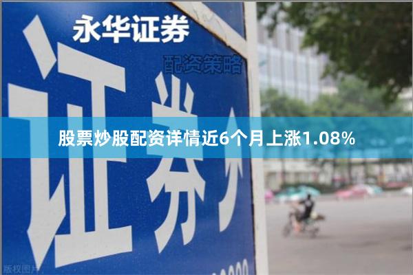 股票炒股配资详情近6个月上涨1.08%